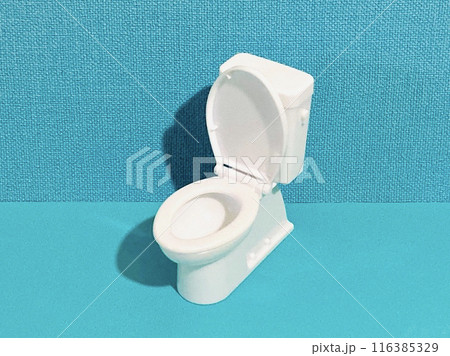 トイレ・WC トイレ・WC 116385329