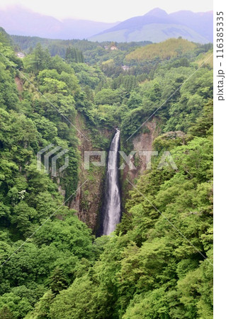 雄滝・九重“夢”大吊橋からの眺め（大分県・九重町） 116385335