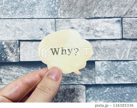 吹き出しにWhy？の文字 116385336