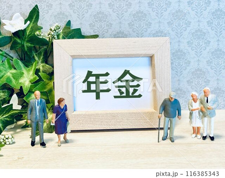 年金の文字とシニアたち 116385343