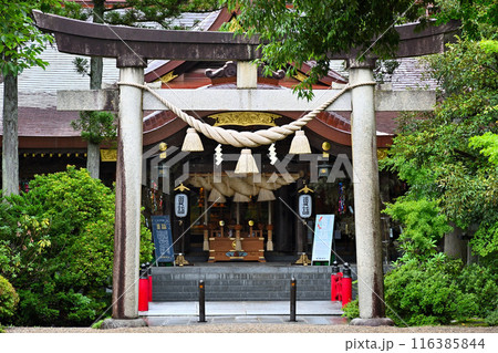 越中一宮　高瀬神社　鳥居　本殿 116385844