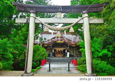 越中一宮　高瀬神社　鳥居　本殿 116386094