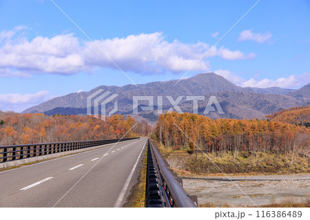 北海道平取町、糠平川に架かる豊糠橋からの眺め【11月】 北海道平取町、糠平川に架かる豊糠橋からの眺め【11月】 116386489