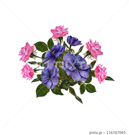 Watercolor floral illustration . Floral composition from flowers anemones and roses Watercolor floral illustration . Floral composition from flowers anemones and roses 116387065