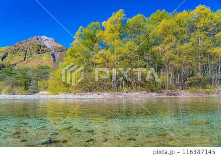 【上高地素材】秋の上高地・焼岳【長野県】 【上高地素材】秋の上高地・焼岳【長野県】 116387145