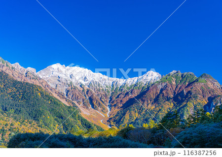 【秋素材】秋の上高地と大正池付近の風景【長野県】 116387256