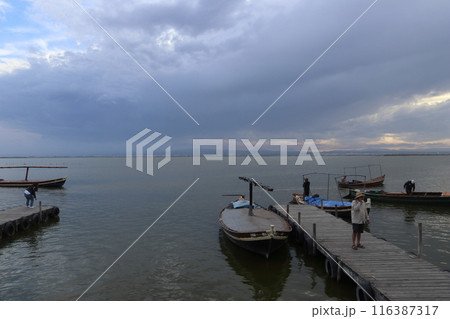 Natural Park of the Albufera in Valencia 116387317