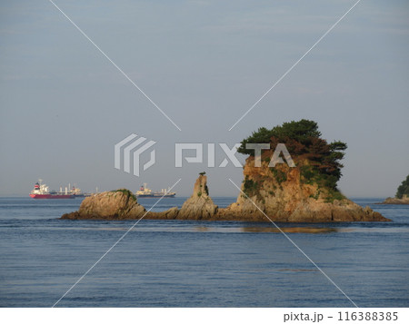 瀬戸内海に浮かぶ四十島（ターナー島） 116388385