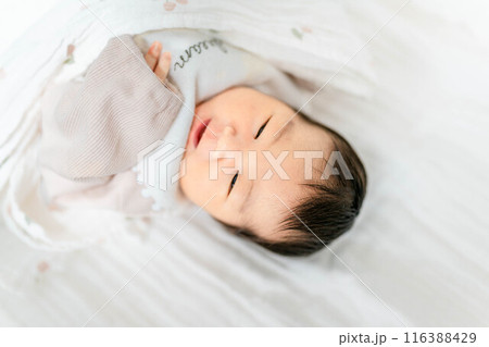 寝ている赤ちゃん 寝ている赤ちゃん 116388429