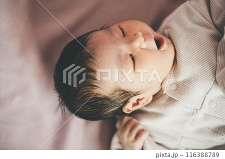 生まれたばかりの赤ちゃん 生まれたばかりの赤ちゃん 116388789