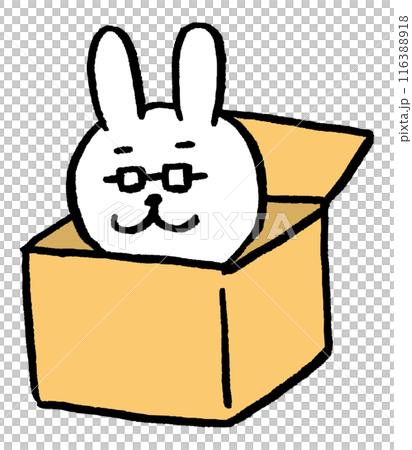 一個戴著眼鏡、裝在盒子裡的老師般的兔子角色素材 116388918