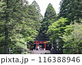鹿児島霧島神宮 116388946