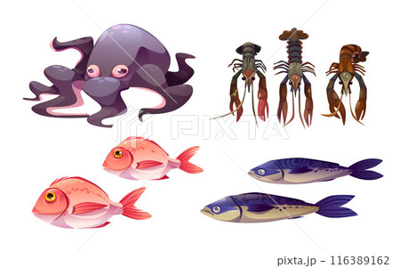 Seafood set isolated on white background Seafood set isolated on white background 116389162