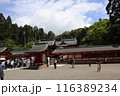 鹿児島霧島神宮 116389234