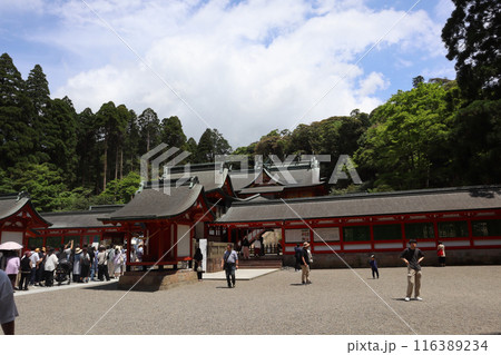 鹿児島霧島神宮 鹿児島霧島神宮 116389234