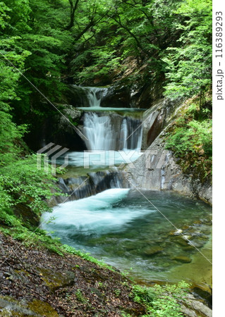 渓谷 116389293