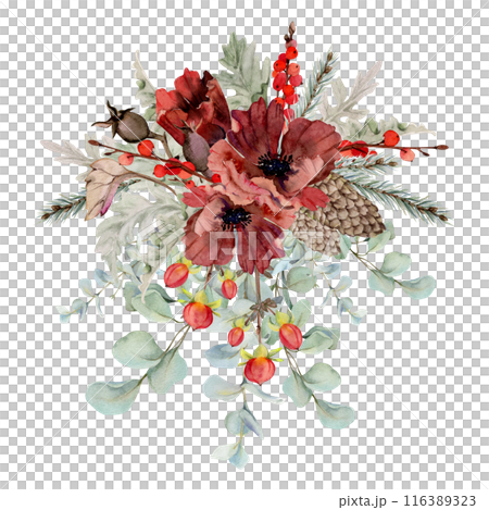Poppy anemone flower, spruce fir tree branches cones, berries eucalyptus. Watercolor hand drawn illustration isolated on white. Xmas, happy new year festive, noel navidad holiday. For cards, gifts. Poppy anemone flower, spruce fir tree branches cones, berries eucalyptus. Watercolor hand drawn illustration isolated on white. Xmas, happy new year festive, noel navidad holiday. For cards, gifts. 116389323