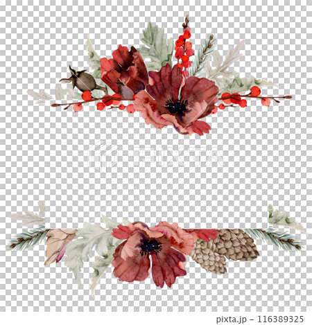 Poppy anemone flower, spruce fir tree branches cones, berries. Watercolor hand drawn illustration, border frame isolated on white. Xmas, happy new year festive, noel navidad holiday. For cards, gifts. 116389325