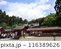 鹿児島霧島神宮 116389626