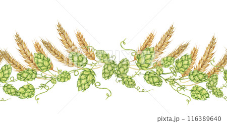Hops and barley seamless border in watercolor. Green humulus lupulus cones and wheat ears repeating pattern banner for Oktoberfest, St Patrick's day, beer labels, traditional festival clipart Hops and barley seamless border in watercolor. Green humulus lupulus cones and wheat ears repeating pattern banner for Oktoberfest, St Patrick's day, beer labels, traditional festival clipart 116389640