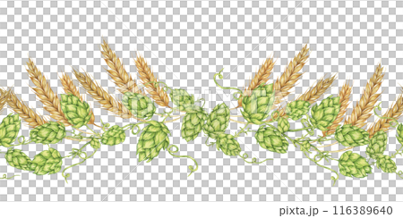 Hops and barley seamless border in watercolor. Green humulus lupulus cones and wheat ears repeating pattern banner for Oktoberfest, St Patrick's day, beer labels, traditional festival clipart 116389640