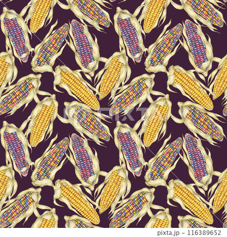 Yellow and indian corn dense seamless pattern, rainbow maize textile, background. Watercolor botanical print design for clothes, wallpaper, wrapping paper, scrapbooking, food packaging, Thanksgiving 116389652