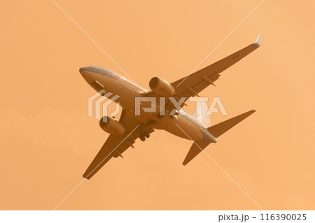 夕暮れのジェットエアフライB737-700 116390025