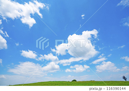 夏の青空と草原 116390144