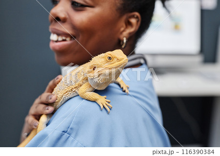 Close up of friendly bearded dragon after medical treatment sitting on shoulder of female veterinarian of Black ethnicity holding lizard in tender manner in vet office, copy space 116390384