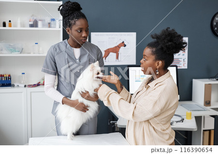 Shot of female African American veterinarian and Black woman dog owner telling about her pets symptoms right before routine physical examination in vet clinic Shot of female African American veterinarian and Black woman dog owner telling about her pets symptoms right before routine physical examination in vet clinic 116390654