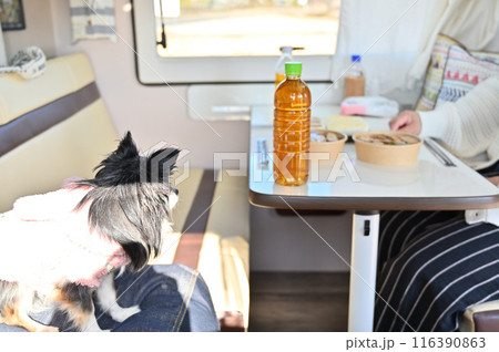 キャンピングカー旅行 食事 鶏めし 弁当 ご当地グルメ キャンピングカー旅行 食事 鶏めし 弁当 ご当地グルメ 116390863