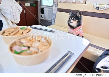 キャンピングカー旅行　食事　鶏めし　弁当　ご当地グルメ 116390867