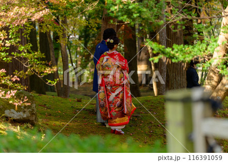 紅葉を見つめる着物姿の女性 116391059