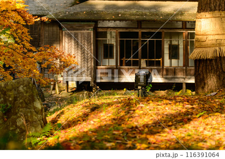 紅葉の中の古い建物 紅葉の中の古い建物 116391064