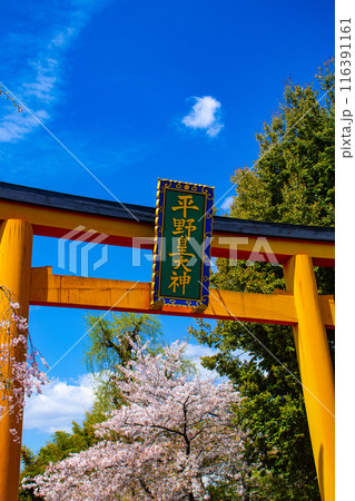 【京都風景】平野神社の桜 【京都風景】平野神社の桜 116391161