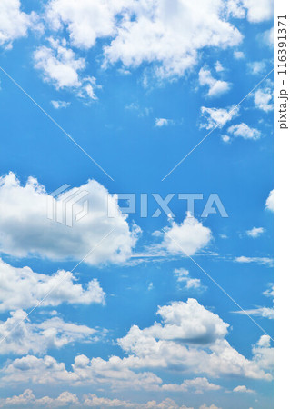 夏の青空と雲 116391371