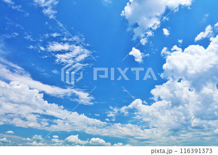 夏の青空と雲 夏の青空と雲 116391373