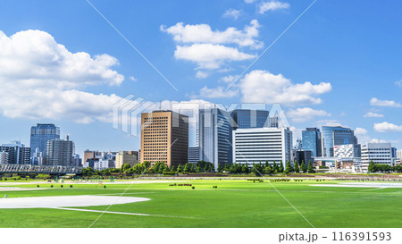 多摩川緑地から見る川崎駅前のビル群【神奈川県・川崎市－東京都・大田区】 116391593