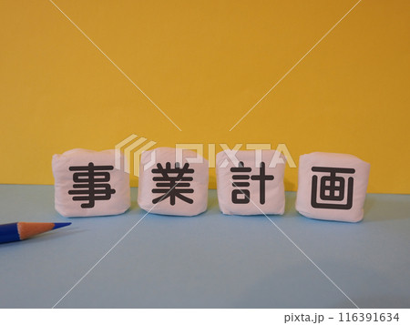 事業計画のアイキャッチ画像 事業計画のアイキャッチ画像 116391634