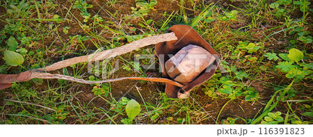 An antique leather sling lies on the ground An antique leather sling lies on the ground 116391823