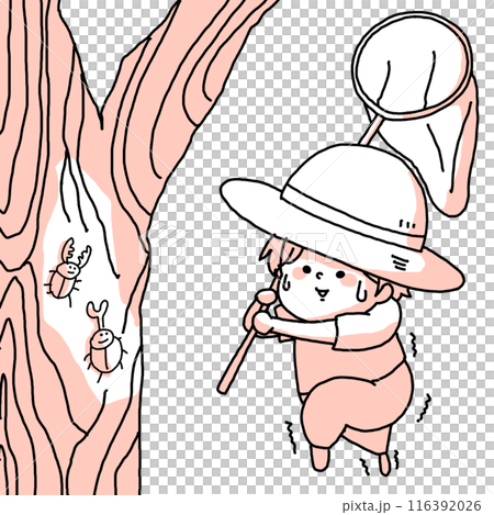 A child wearing a straw hat is trying to catch rhinoceros beetles and stag beetles from a tree A child wearing a straw hat is trying to catch rhinoceros beetles and stag beetles from a tree 116392026