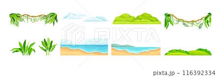 Liana, Shore, Cloud and Bush as Tropical Landscape Element Vector Set 116392334