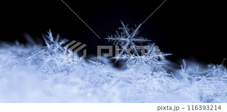 snapshot of a small snowflake taken during a snowfall snapshot of a small snowflake taken during a snowfall 116393214