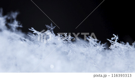 snowflake, little snowflake on the snow snowflake, little snowflake on the snow 116393313