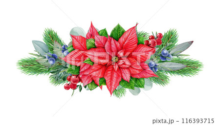 Winter season vintage style floral decor with poinsettia and pine. Watercolor illustration. Christmas time festive painted decoration with conifer, eucalyptus, berries, poinsettia. White background Winter season vintage style floral decor with poinsettia and pine. Watercolor illustration. Christmas time festive painted decoration with conifer, eucalyptus, berries, poinsettia. White background 116393715