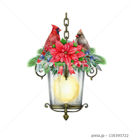 Winter time floral decor with vintage style lantern and garden birds. Watercolor illustration. Christmas time festive painted decor with vintage lantern, pine, poinsettia, birds. White background Winter time floral decor with vintage style lantern and garden birds. Watercolor illustration. Christmas time festive painted decor with vintage lantern, pine, poinsettia, birds. White background 116393722
