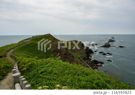 日本の北海道のえりも岬の美しい風景 116393925