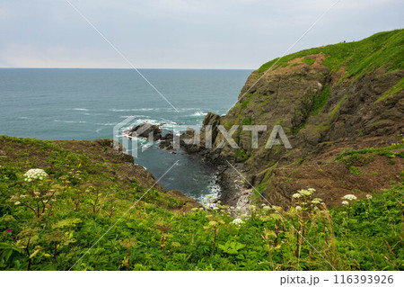 日本の北海道のえりも岬の美しい風景 116393926