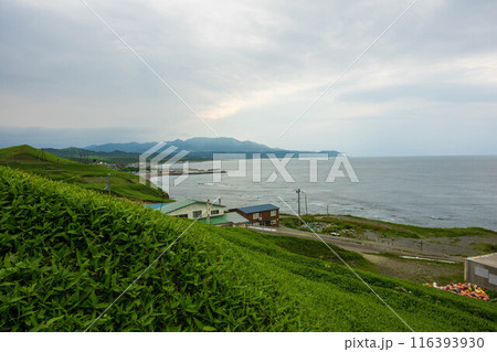 日本の北海道のえりも岬の美しい風景 日本の北海道のえりも岬の美しい風景 116393930