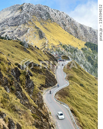 山腹 中腹 大木 116394032